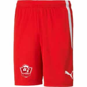 Short match 2024-25 adulte et junior